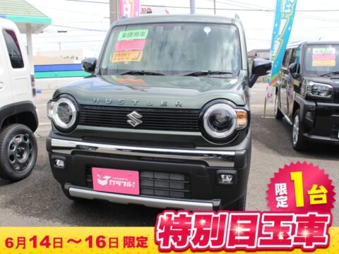 ﾊｽﾗｰ　ﾀﾌﾜｲﾙﾄﾞ